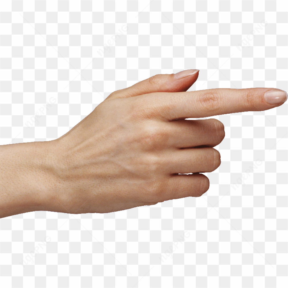 Hands Png Hand Image