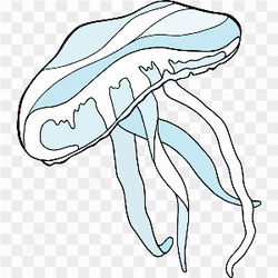 Underwater Animal 3