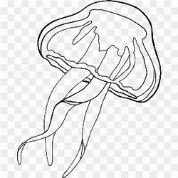 Underwater Animal 4