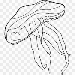 Underwater Animal 6