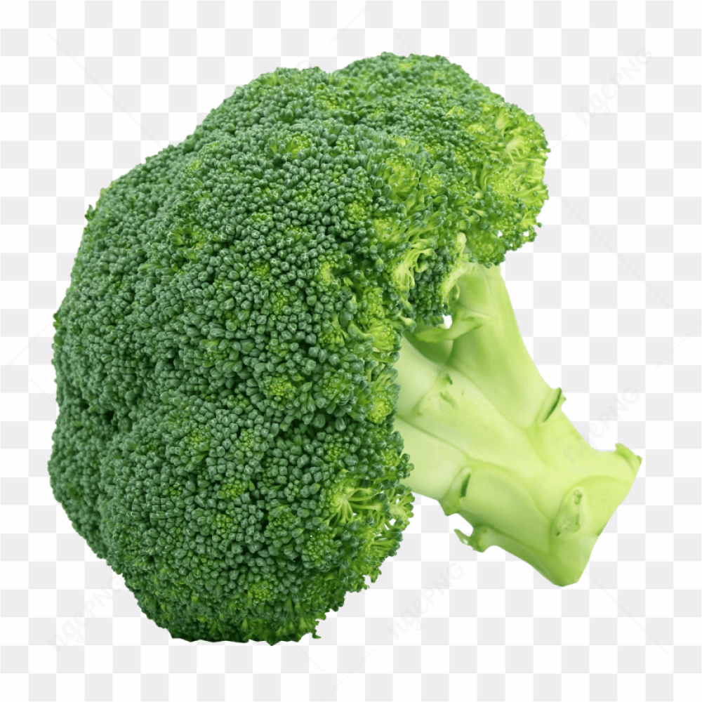 All kind of vegetables