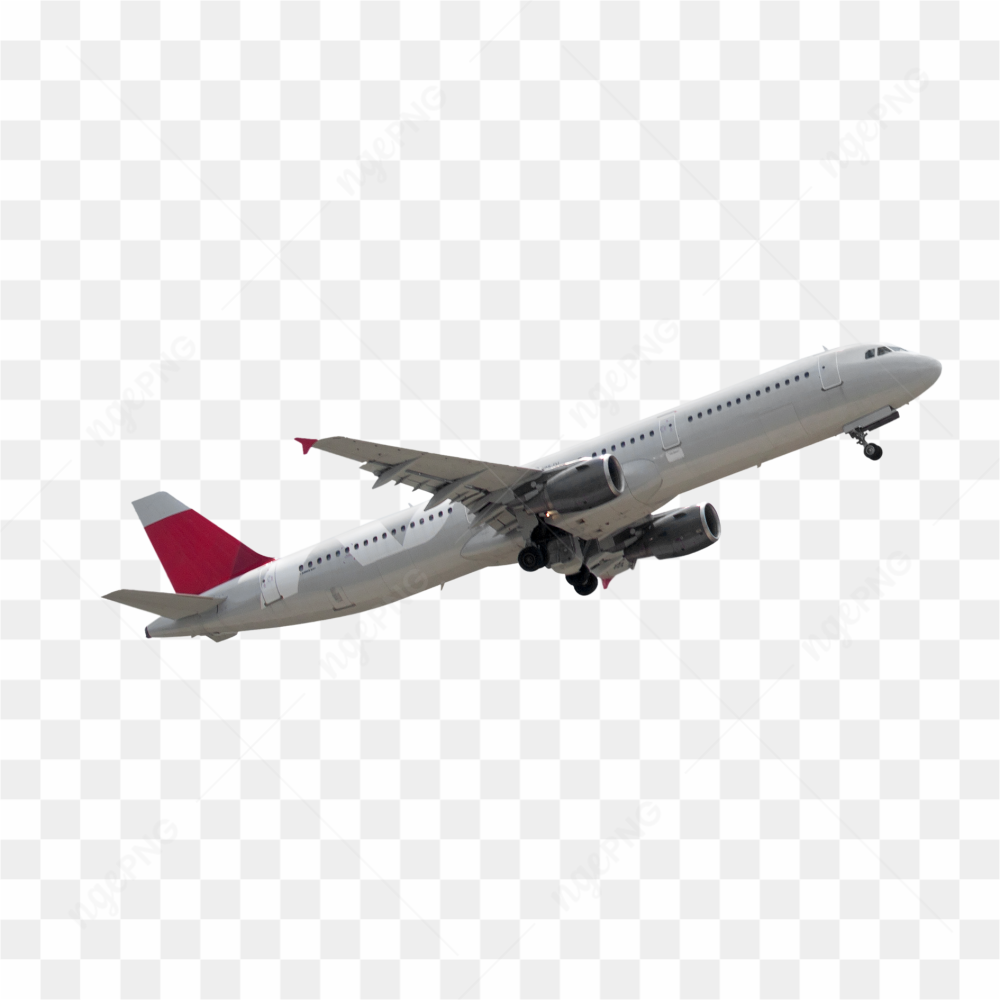 The airplane in the sky