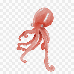 The eight-legged creature