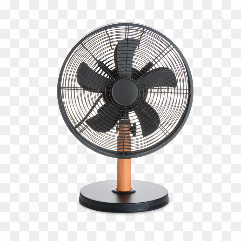 The electric fan