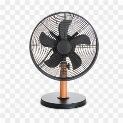 The electric fan