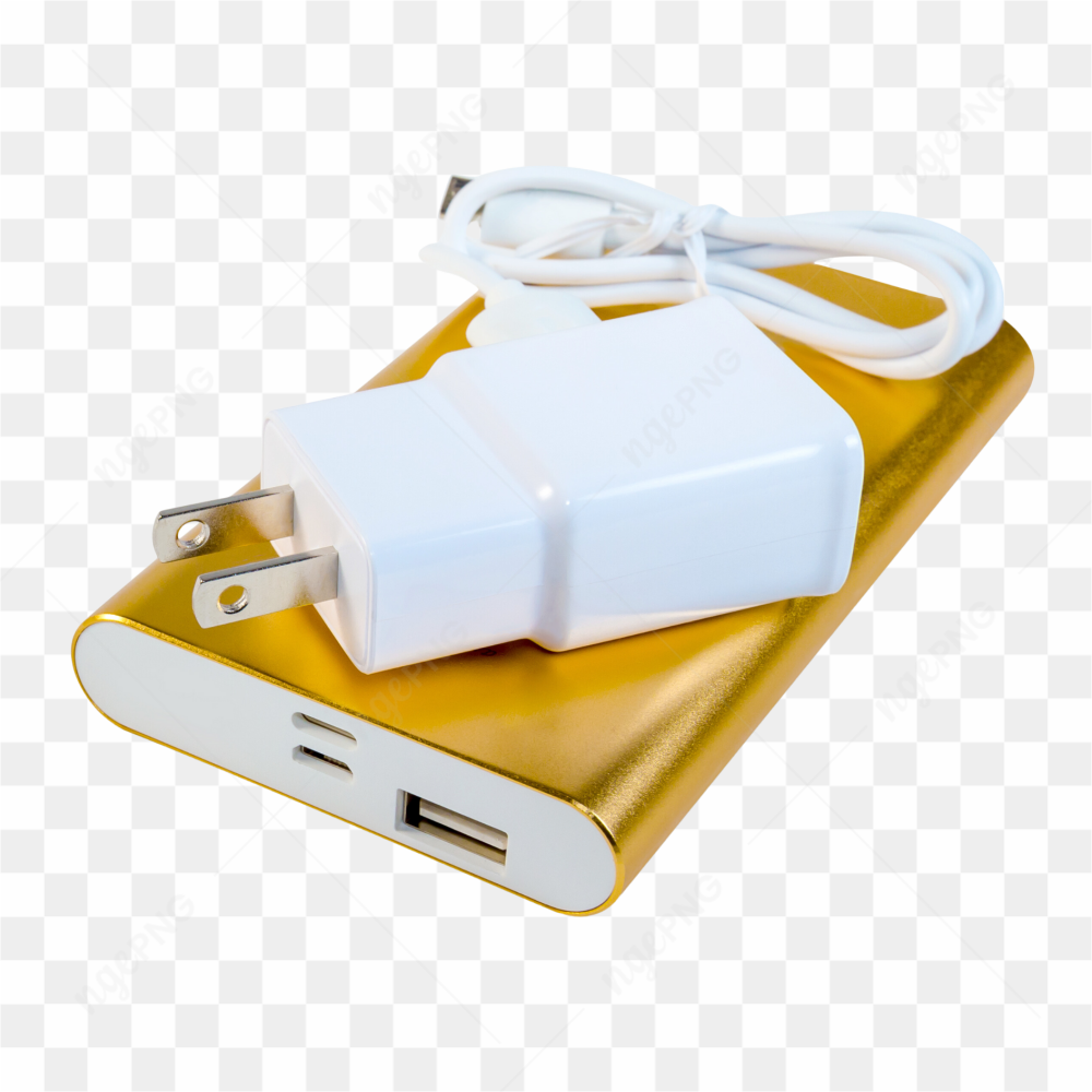 The power bank