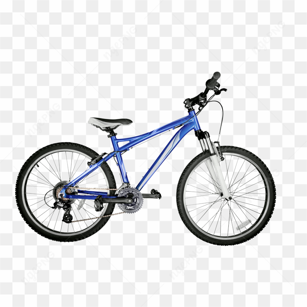 The blue bicycle