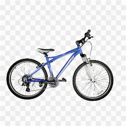 The blue bicycle