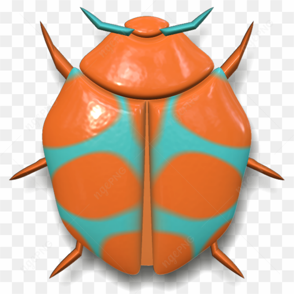 A multicolored beetle