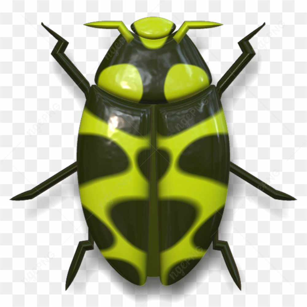 A lady bug