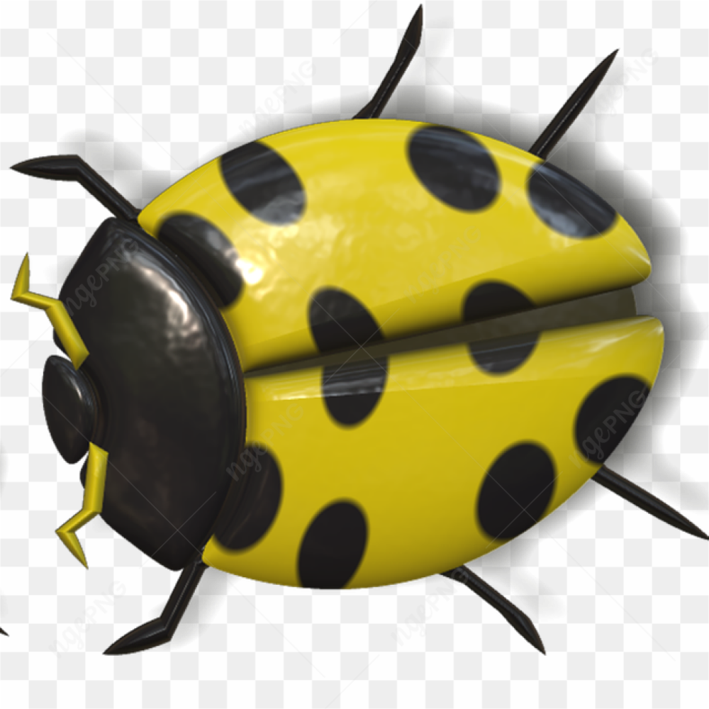 A yellow ladybug 