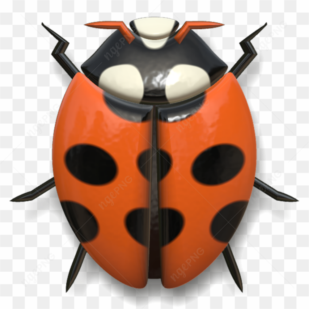An orange ladybug 