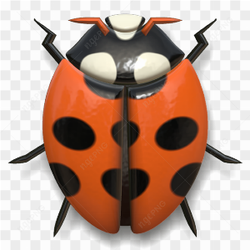An orange ladybug 