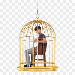 Boy teen in golden cage on transparent PNG