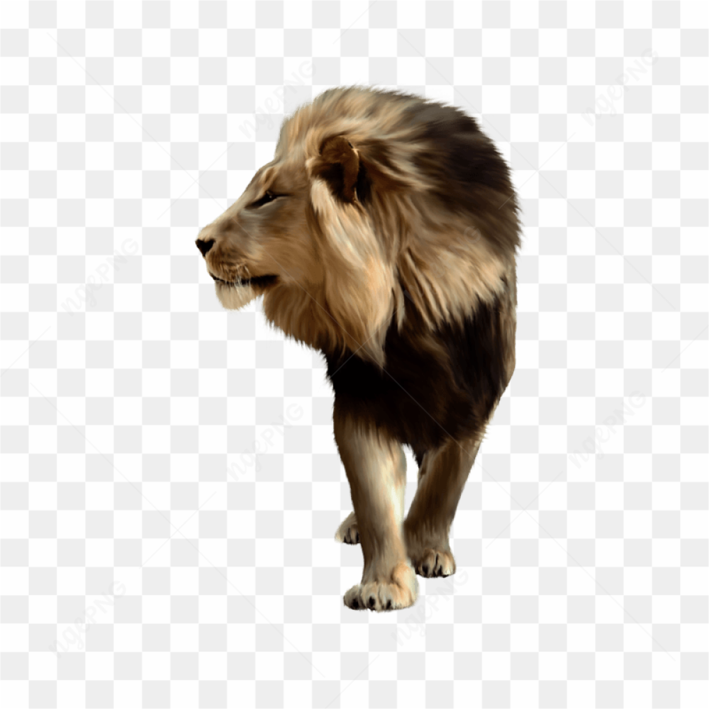 Majestic Lion Portrait