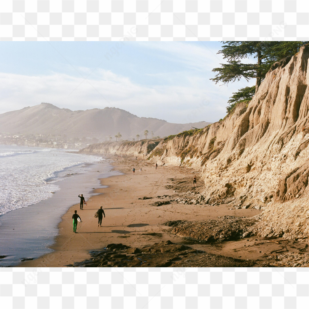 Along the shores