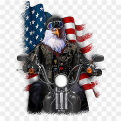 Biker America Riding 