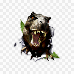  Dinosaur Illustration Art