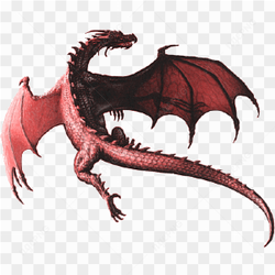 Dragon Illustration Art
