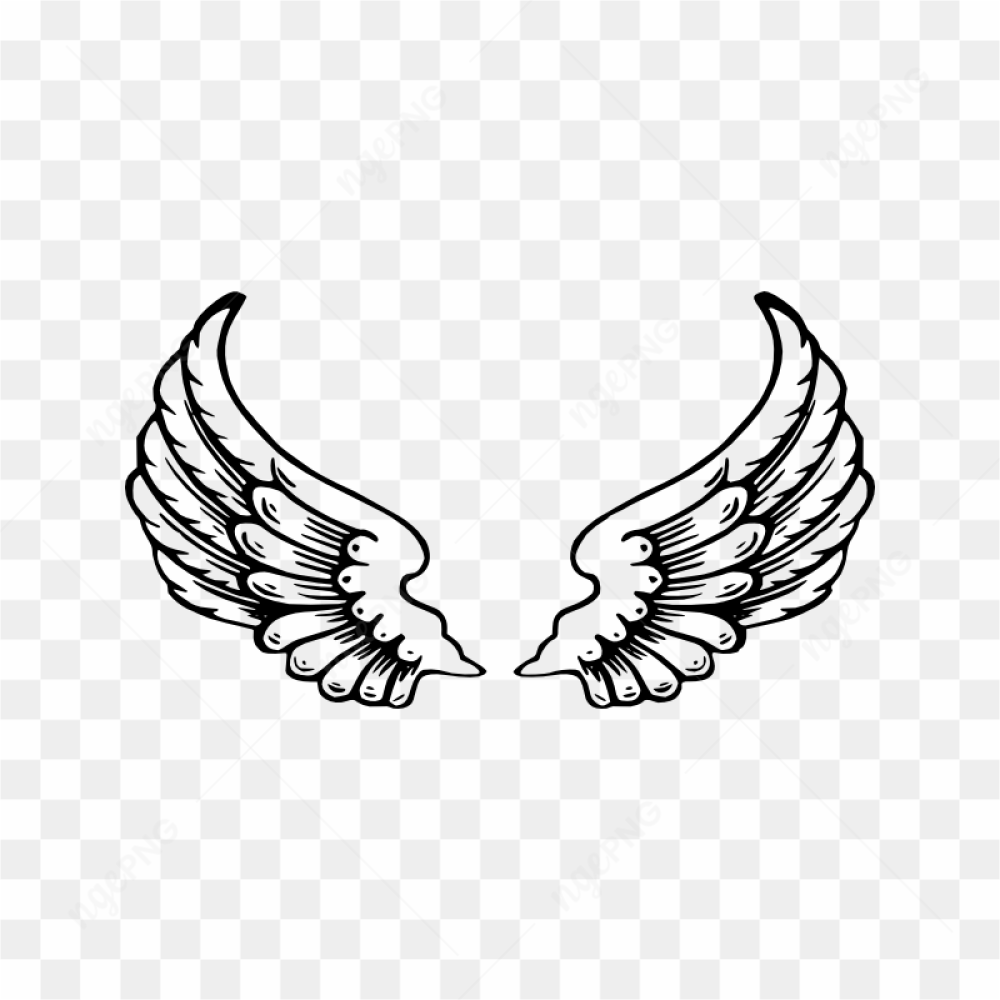 Angel Wings Illustration