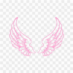 Angel Wings Illustration