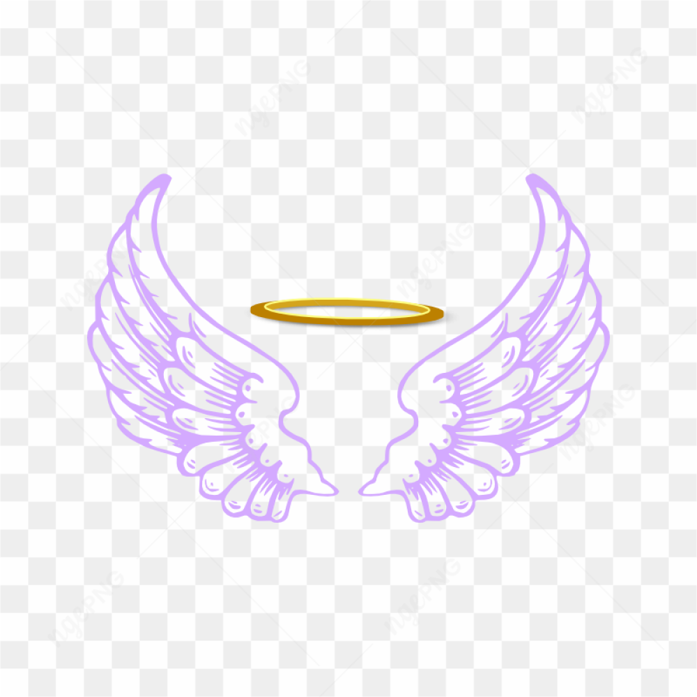 Angel Wings Illustration
