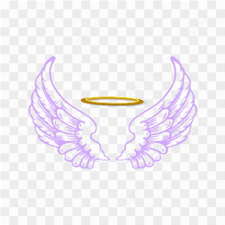 Angel Wings Illustration