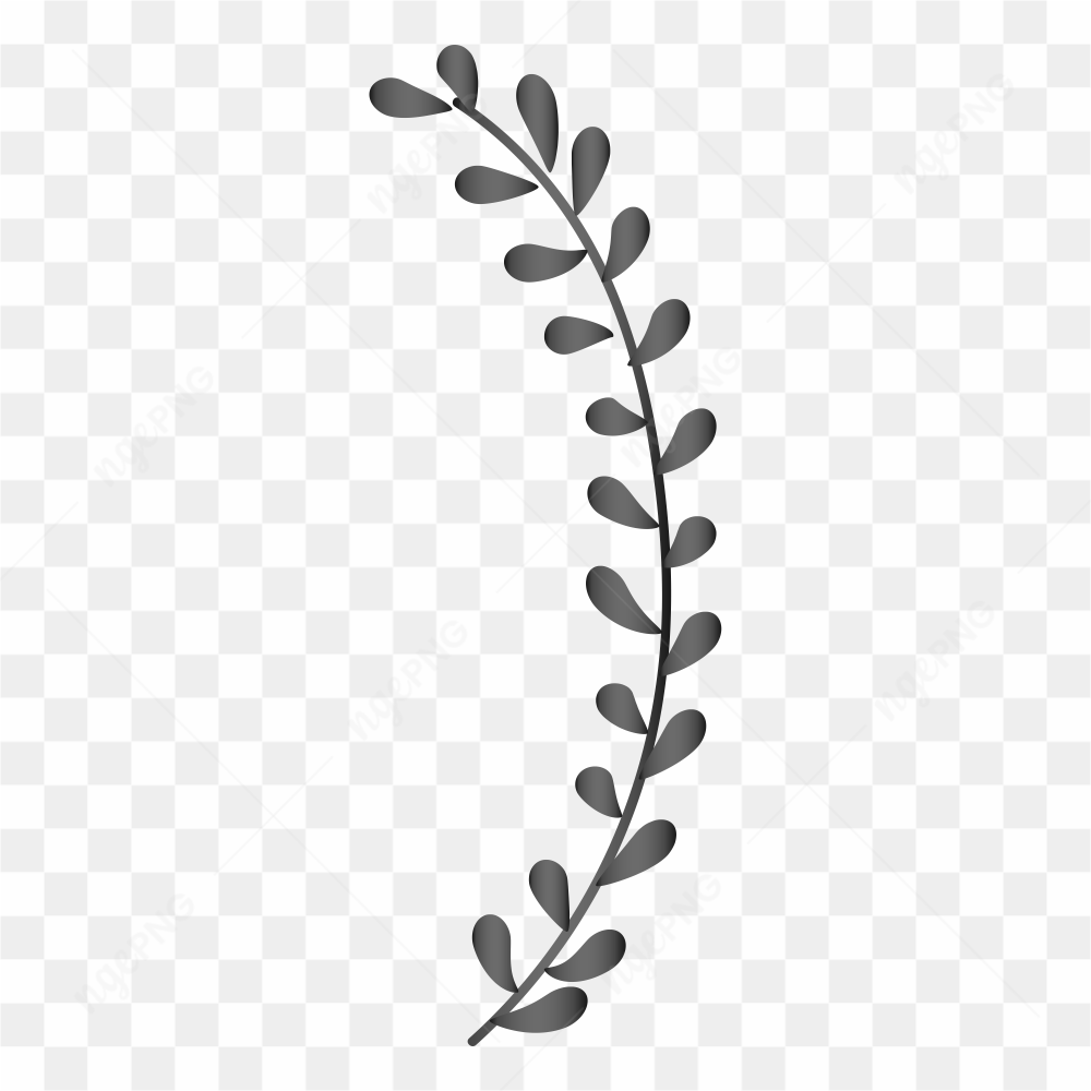 Hand drawn leaves of tree on transparent background PNG