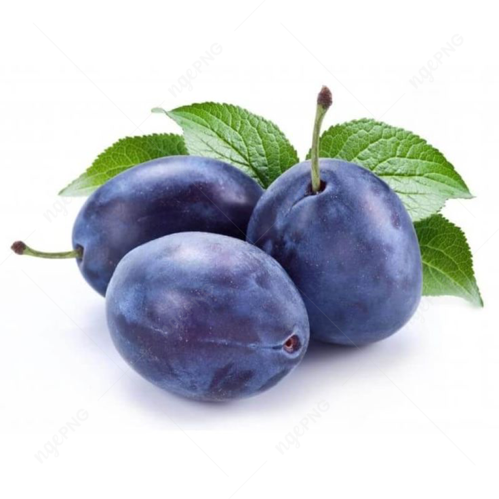 Juicy plum fruit