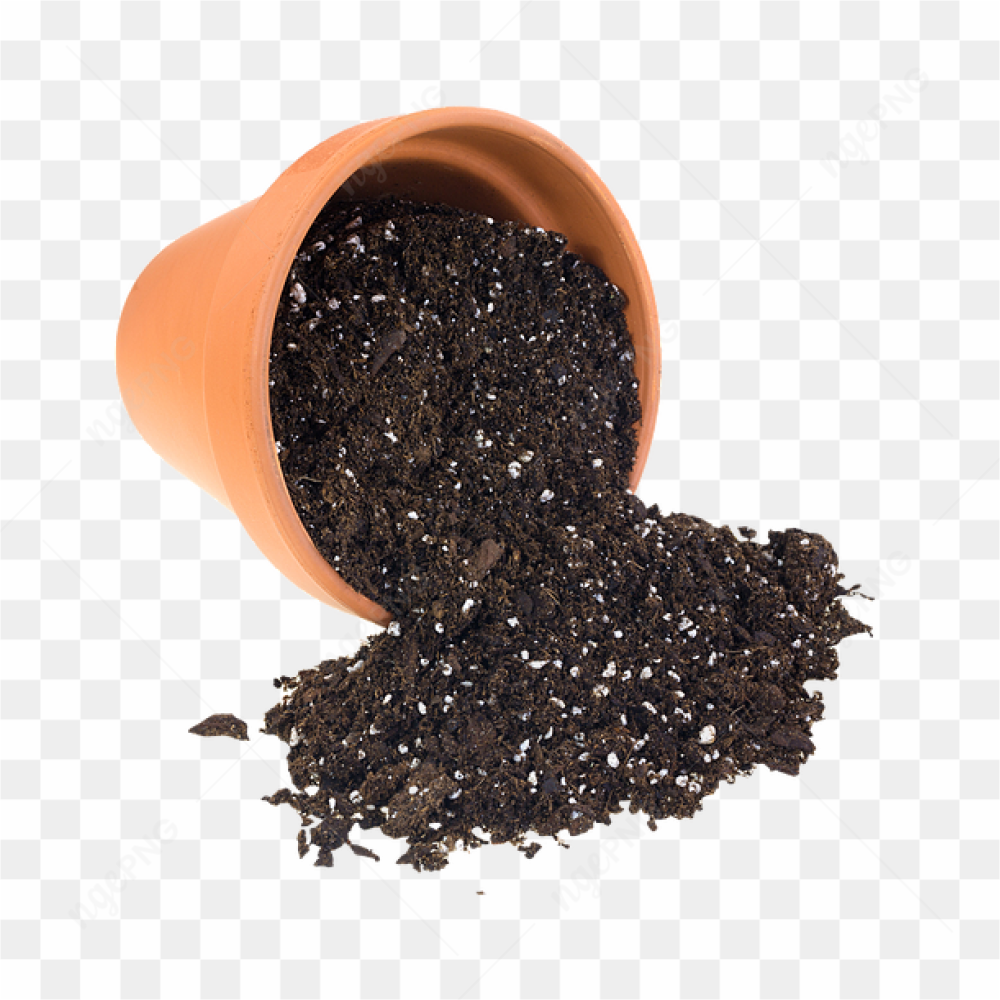 Soil of the planting fell