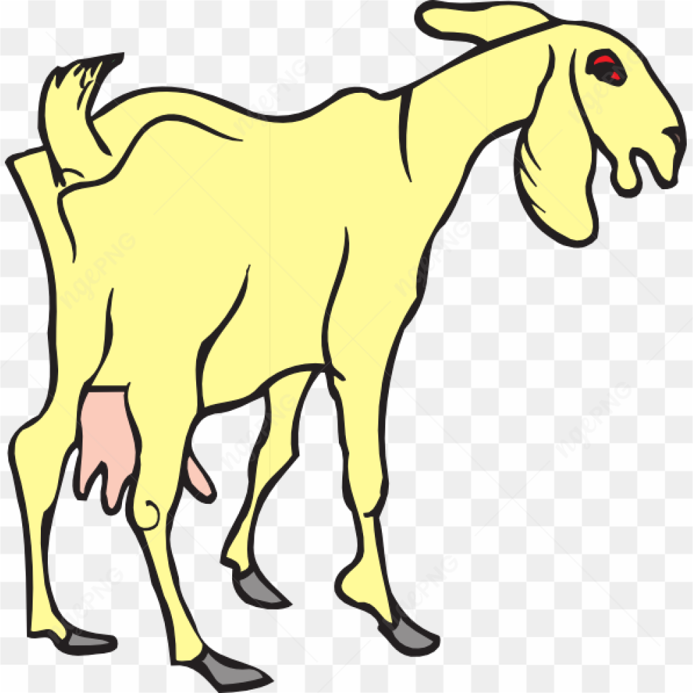 Yellow goat red eyes