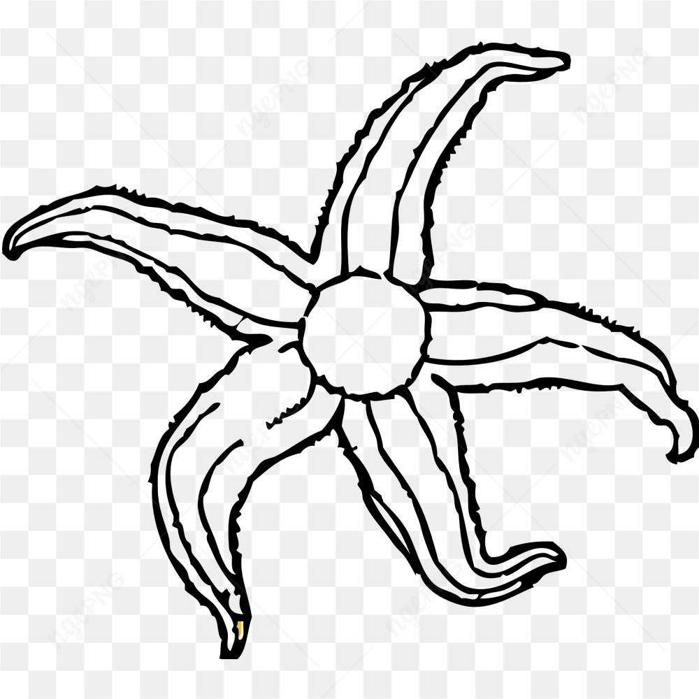 Starfish clip art