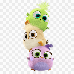 Angry bird pic