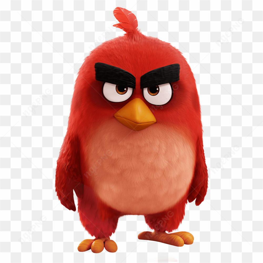 Angry bird red