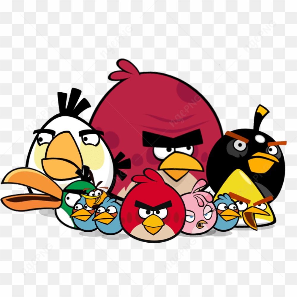 Angry bird group