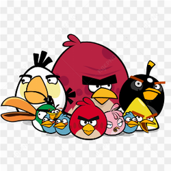 Angry bird group