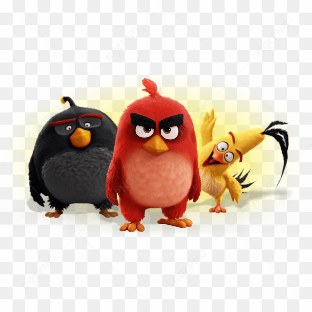 Angry bird group