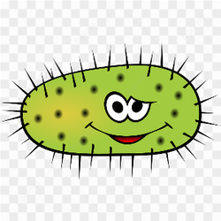 Green spike bacteria