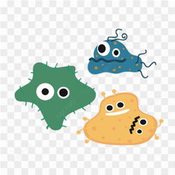Multiple color bacteria