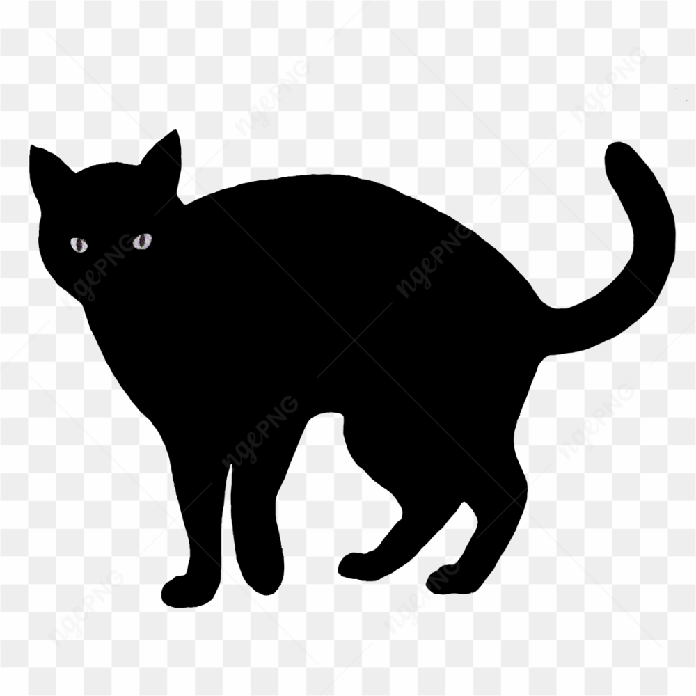 Black cat logo