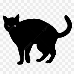 Black cat logo