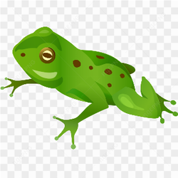Cartoon frog green