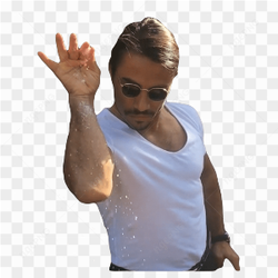 Salt bae pic