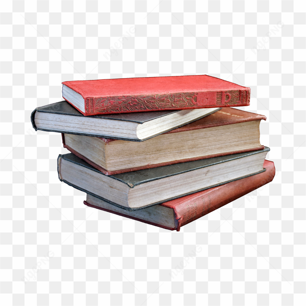 Mestre mudo livro