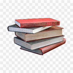 Mestre mudo livro
