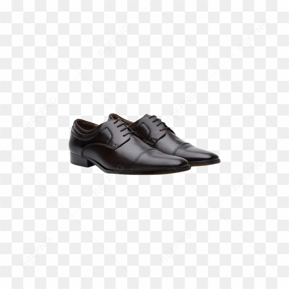 SAPATOS PRETOS BICO FINO