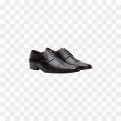 SAPATOS PRETOS BICO FINO