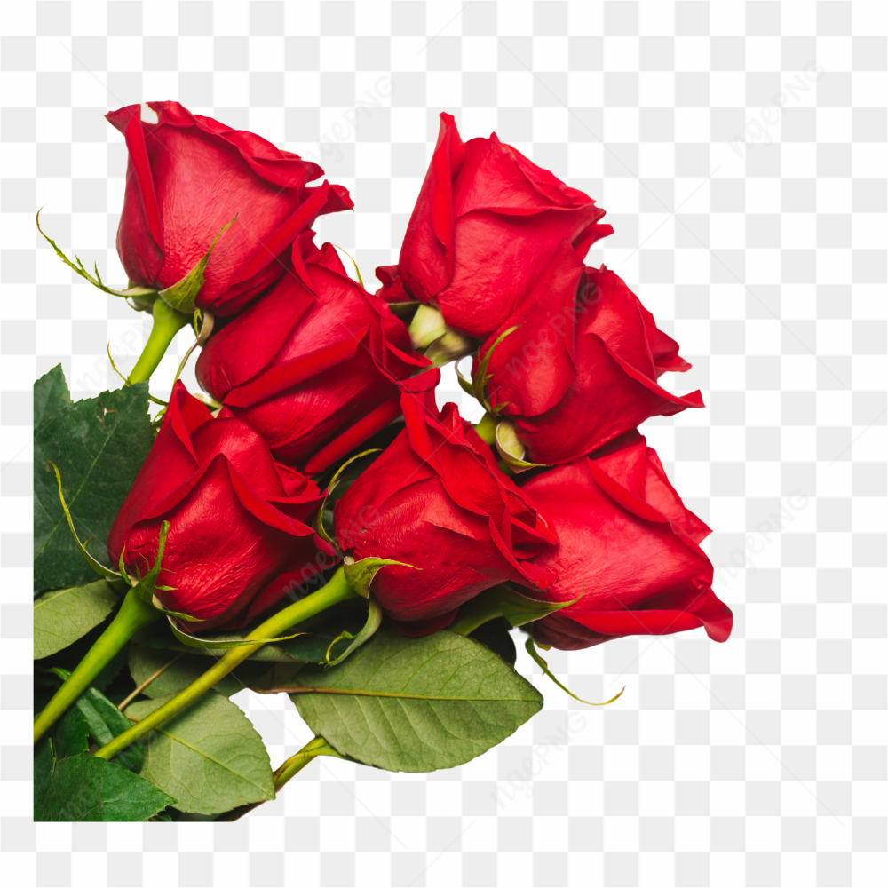 BOUQU DE ROSAS