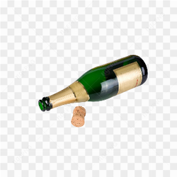 GARRAFA DE CHAMPAGNE VAZIA