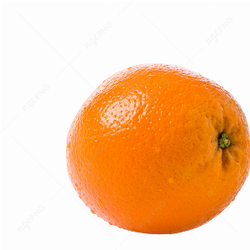Orange Fruit Fresh